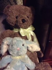 Brownie an Blue