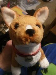 Ein
