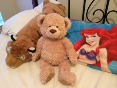 Orange tiger, little teddy bear, and Ariel