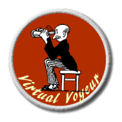 Virtual Voyeur.fw.png