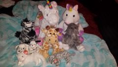 More stuffie pals