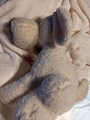 My Favorite Stuffie