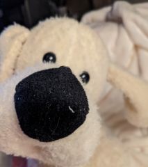 My Favorite Stuffie