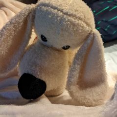 My Favorite Stuffie