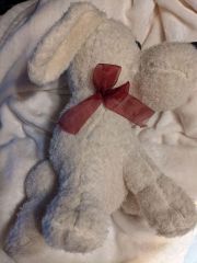 My Favorite Stuffie