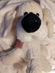 My Favorite Stuffie