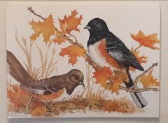 bird card