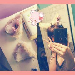 Done !!