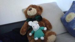 Huggles and Bunny