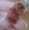 post-13477-0-82303100-1466766649_thumb.jpg
