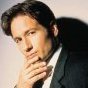 Renard.Mulder