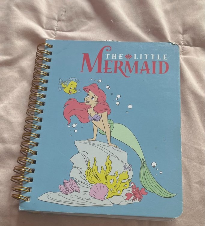 littlespace journal1.jpg