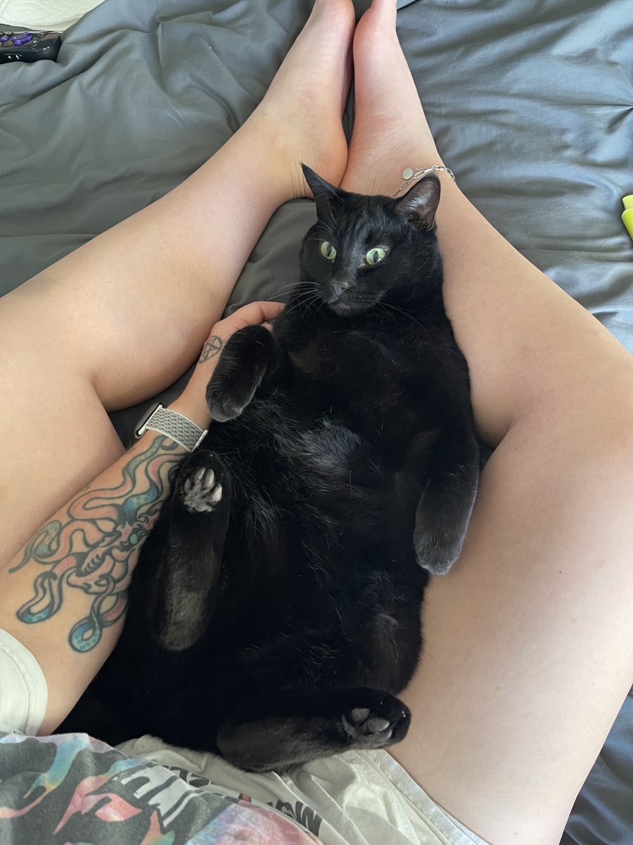 large.277D5E4C-D03A-4D8A-8844-73F9050B0EFF.jpeg.63211497ef2f548d3a0e0ebb486ea98d.jpeg