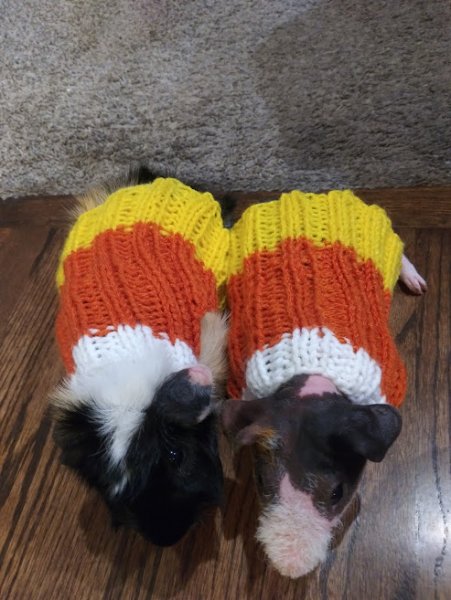 Candy Corn
