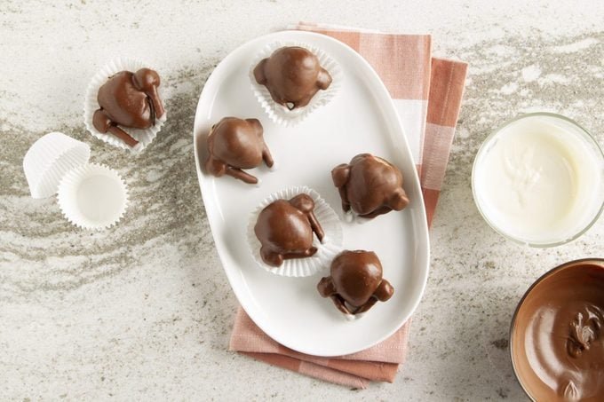 ChocolateTurkey_FT21_267670_F_1103_6-scaled-e1636662933917.jpg