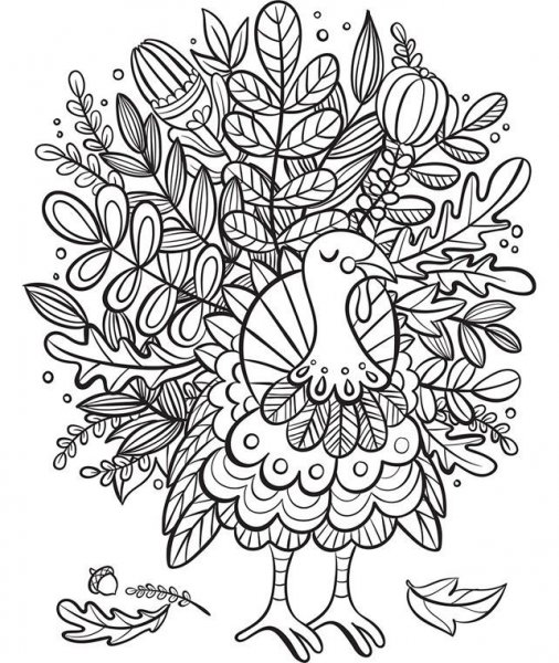 Turkey coloring.jpg
