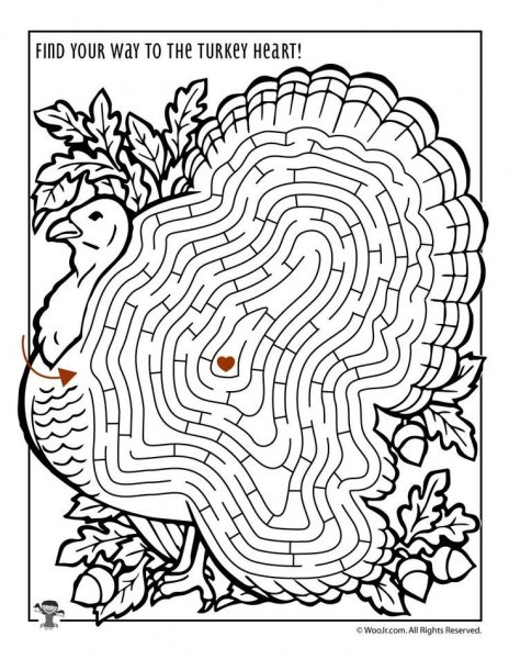 Turkey maze.jpg