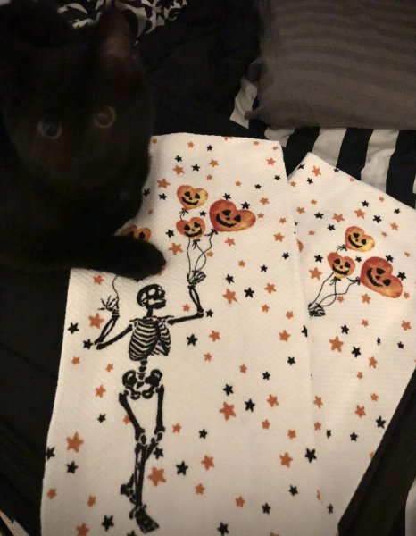 Spooky Kitchen Towels! 💀