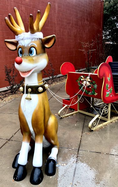 Day Walk #1 🎄 🎁