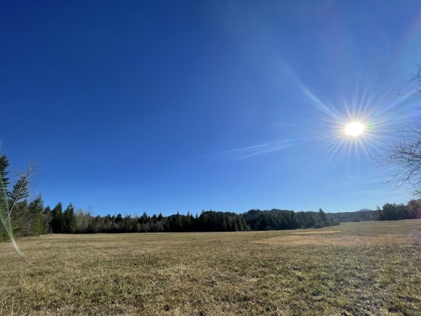 Outdoor walk #1