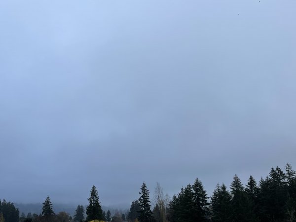 So cloudy and misty