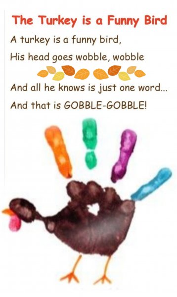 ExampleTurkeyProject.jpg