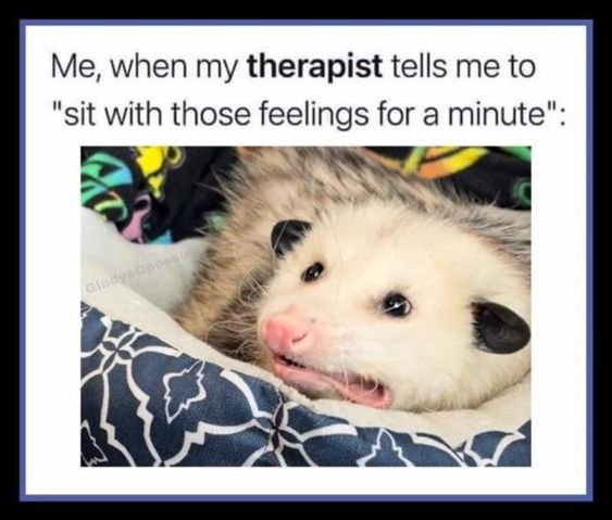 Opossum Meme