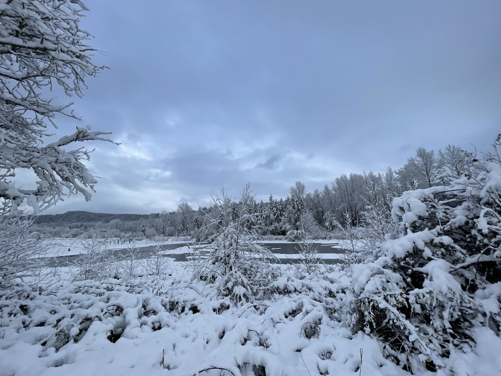 large.0364B974-F213-4030-9647-BD5A6C8E1D69.jpeg.cdc295c809d66fe9341d023d36cf9017.jpeg