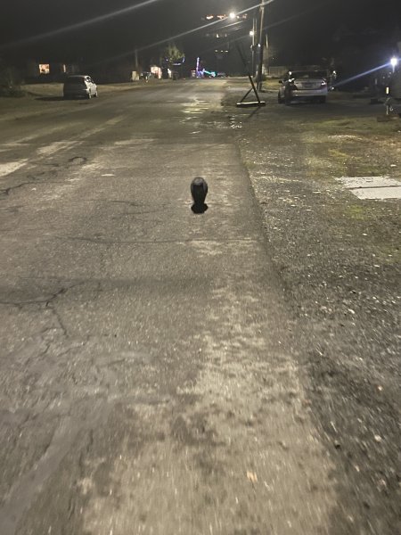 Night walk # 5
