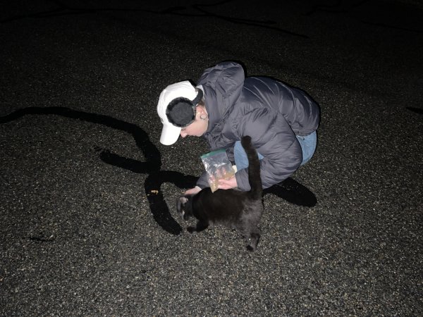 Night walk # 1