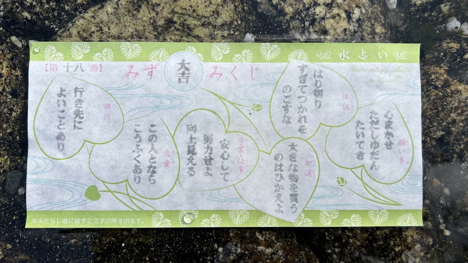 large.17361F41-B1DB-4A13-91A5-6DC3EA653534.jpeg.85242a7bbd938ff411cf7d53ed32c6bc.jpeg