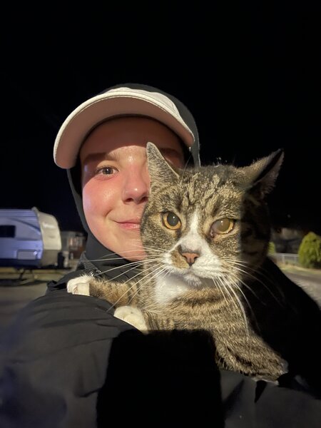 Night Walk # 24