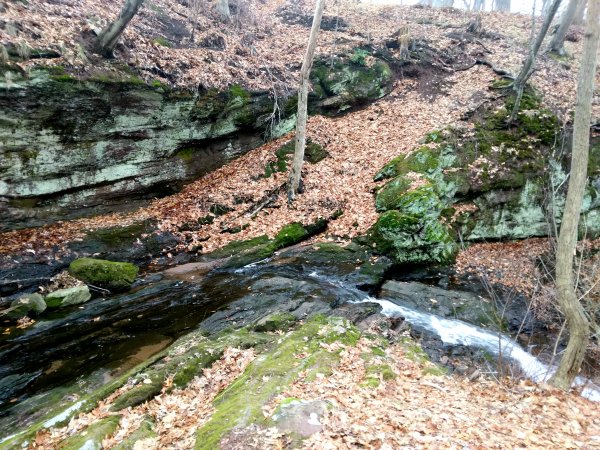 Walk #15