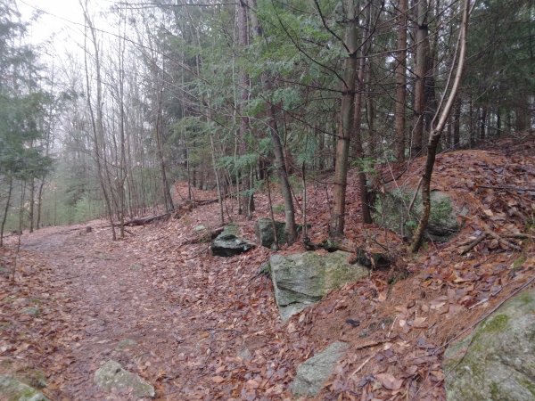 Walk 16