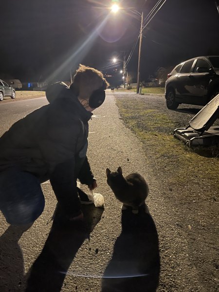 Night Walk # 55