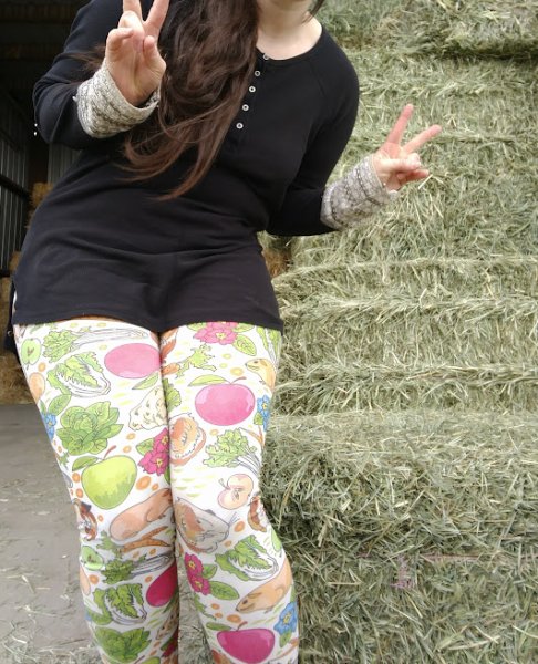 HayDay