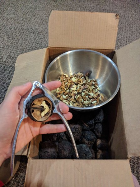 Walnuts