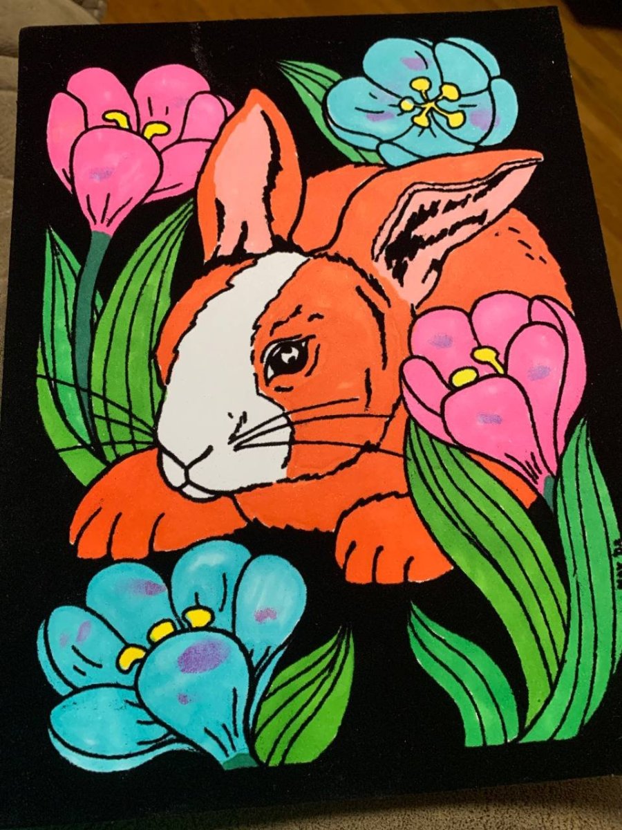 large.bunny.jpg.77d2e991e653ae6ba308fccefe4e5d1f.jpg