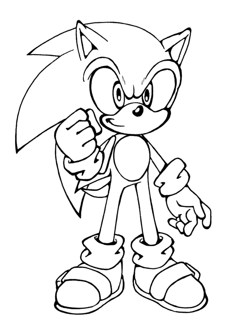 large.sonic1.jpg