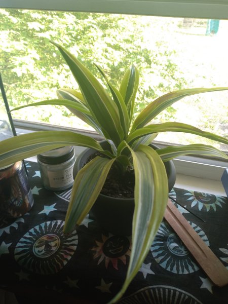 Rescued this guy!