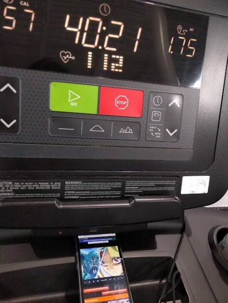 treadmill #17