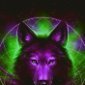 Nightshade7752