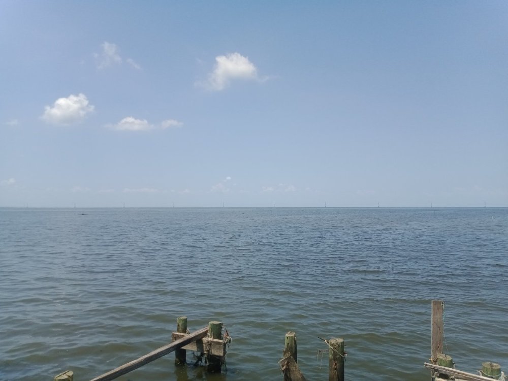 IMG_20230721_142543350.jpg