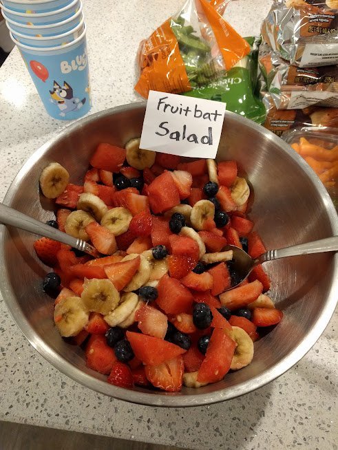 Fruit Bat Salad