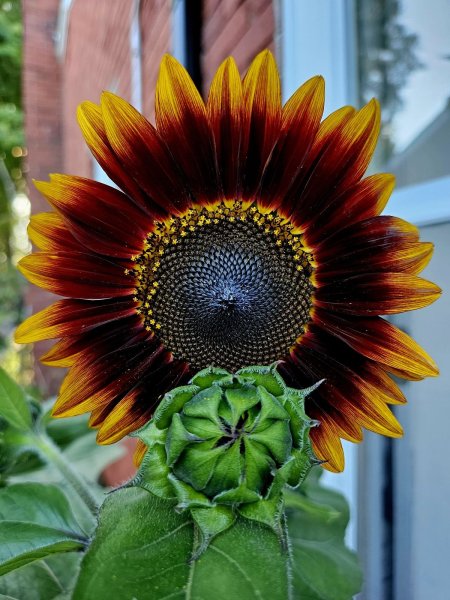 20230828_183834.jpg