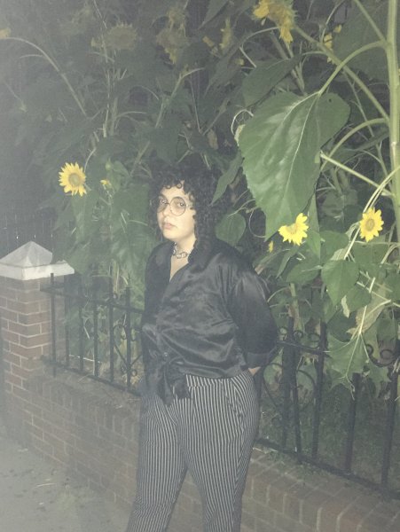 sunflowers at night