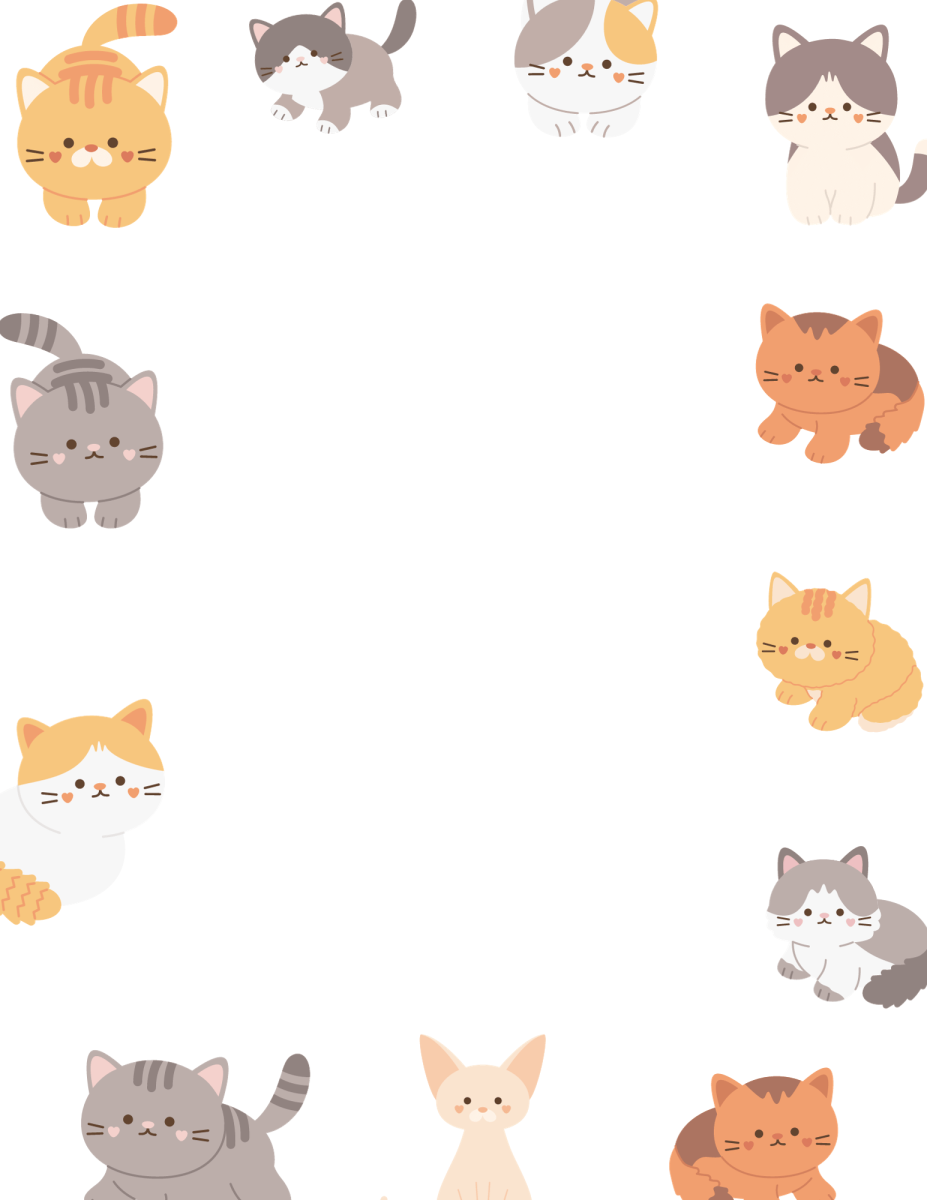 large.Kittens.png.7264fc95030fab8087e151aaa1d87062.png
