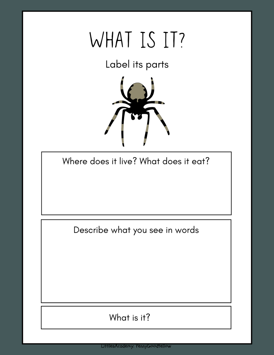 large.Whatisit.png.ff65de6bab85691d7461ac35a1e9fcc5.png
