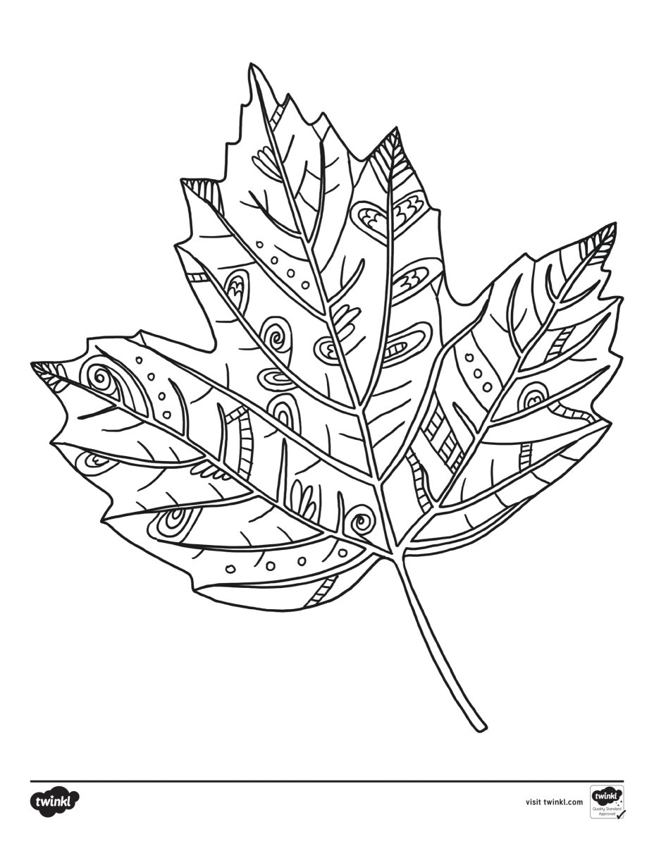 large.us-t-t-23537-fall-themed-coloring-activity-sheets-_ver_1-1.png.e0a739f1a9a5c3b685061e9f5bbb2376.png