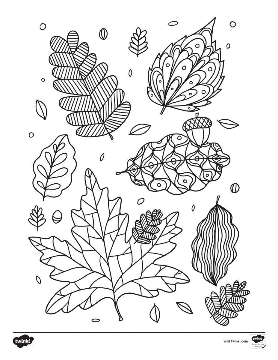 large.us-t-t-23537-fall-themed-coloring-activity-sheets-_ver_1-3.png.b19e3040600b076a699e37964dadbedb.png